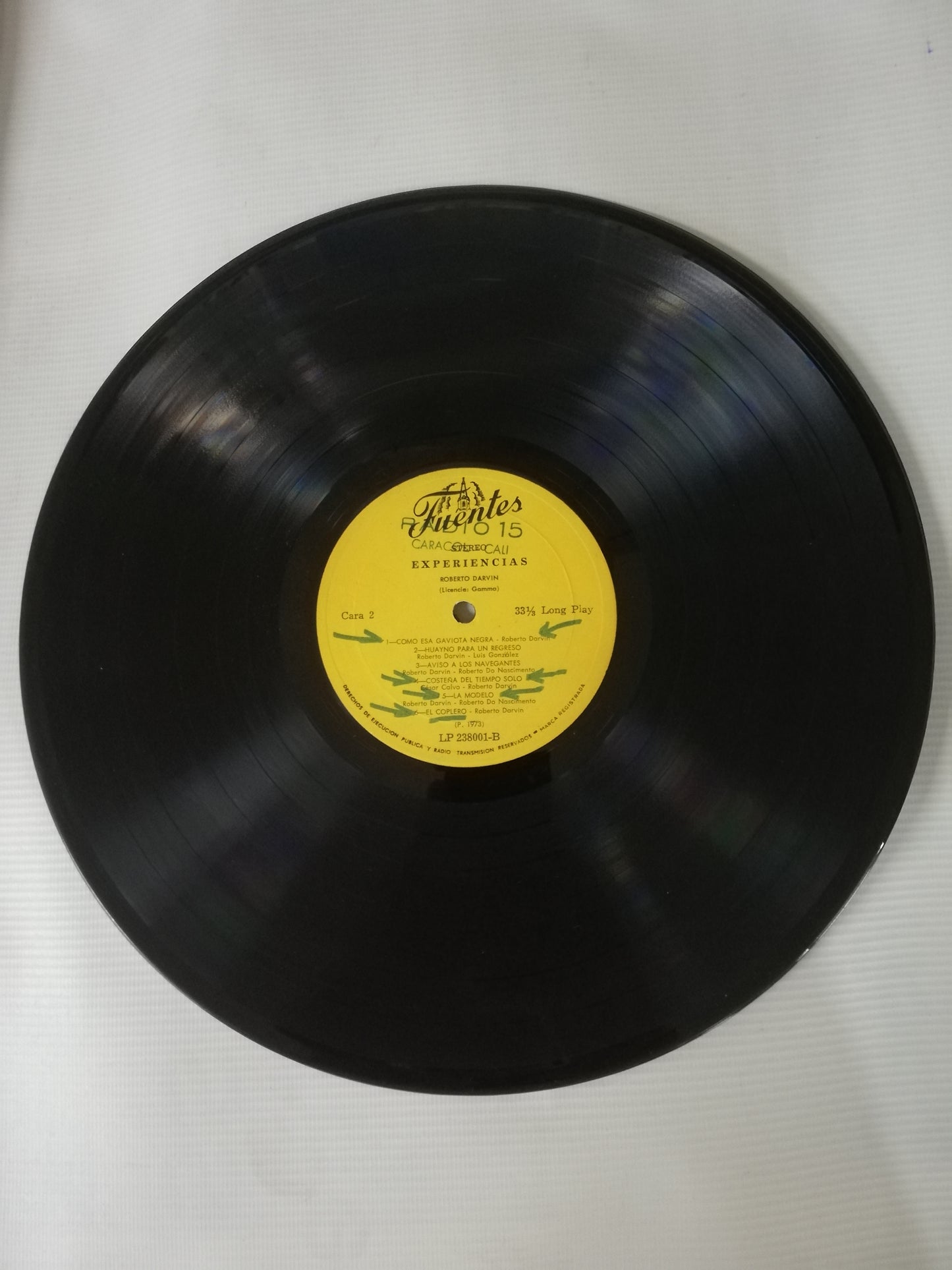 LP ROBERTO DARVIN - EXPERIENCIAS