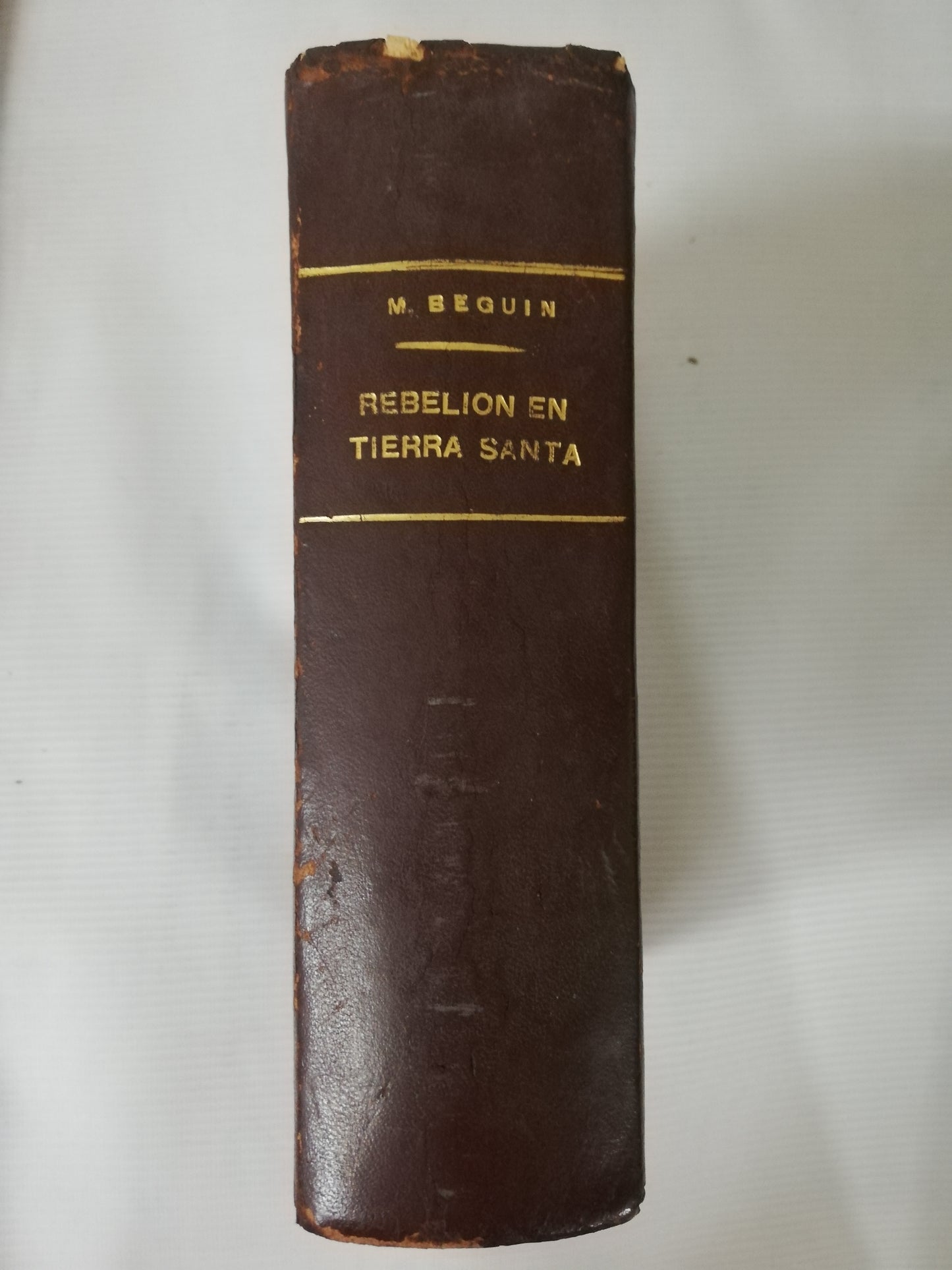 REBELIÓN EN TIERRA SANTA - MENAJEM BEGUIN