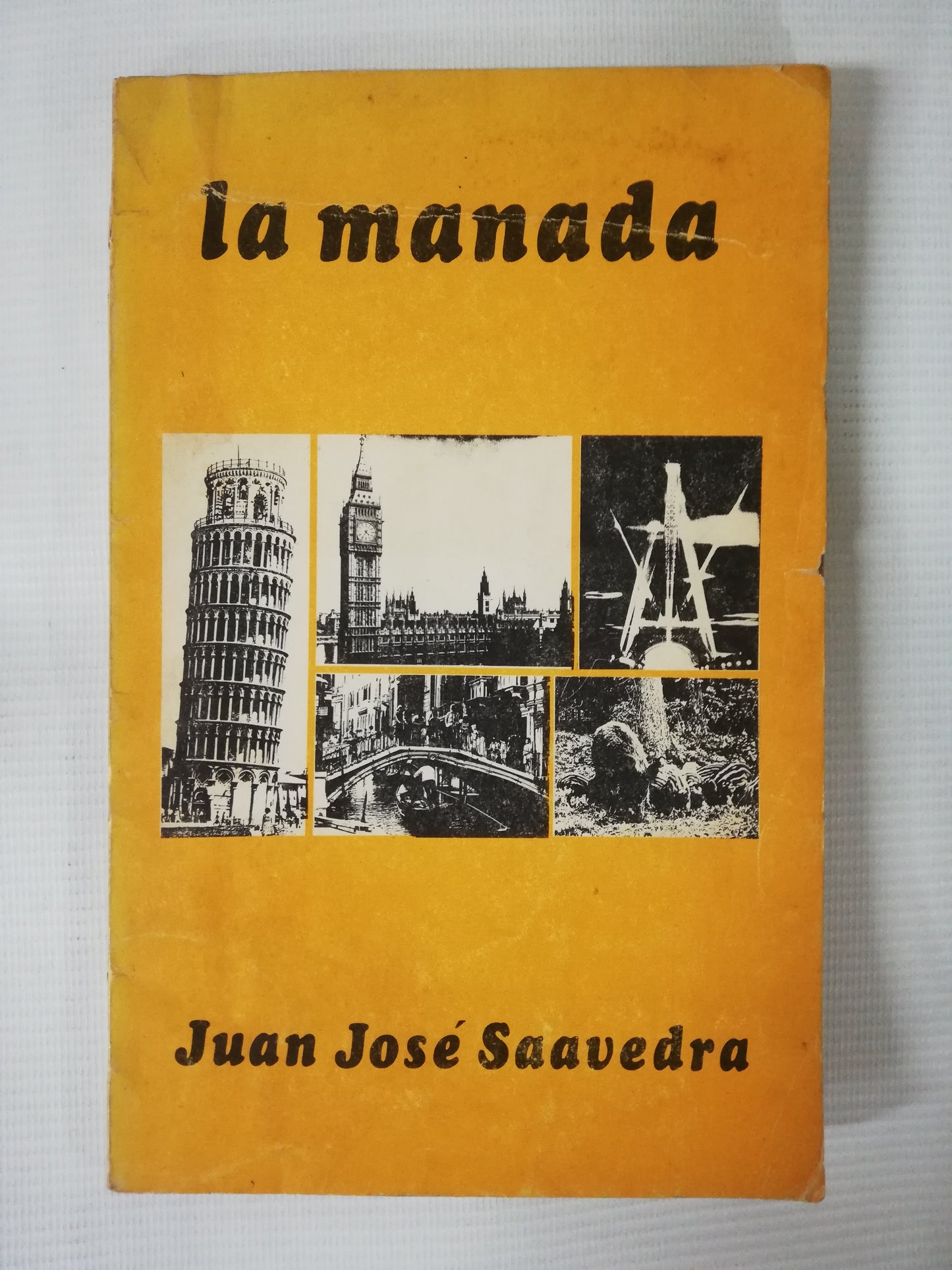 LA MANADA - JUAN JOSÉ SAAVEDRA
