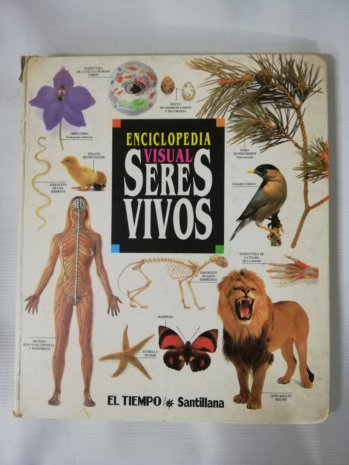 ENCICLOPEDIA VISUAL SERES VIVOS - 2 TOMOS