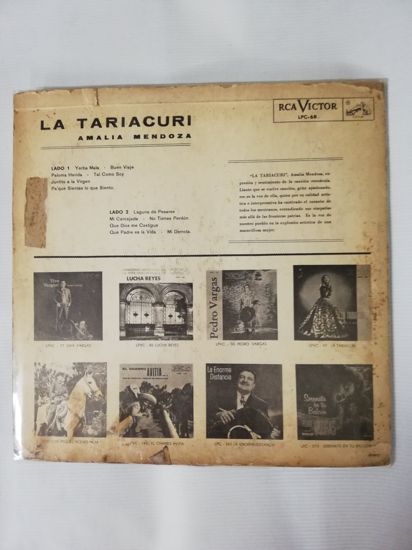 LP AMALIA MENDOZA - LA TARIACURI