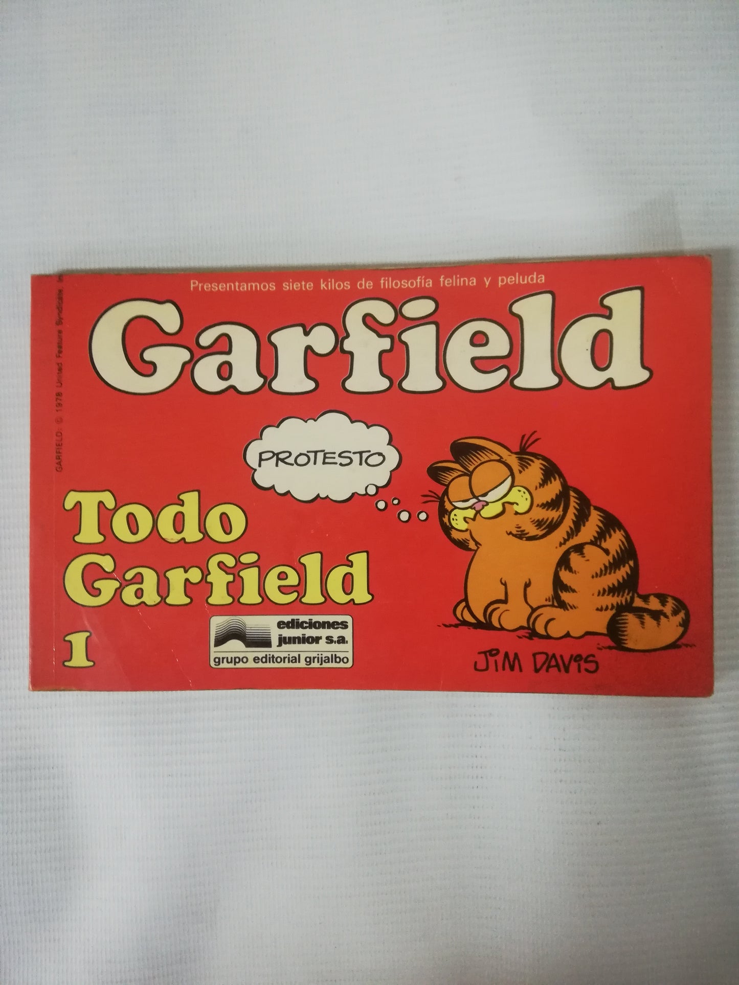 GARFIELD - TODO GARFIELD 1