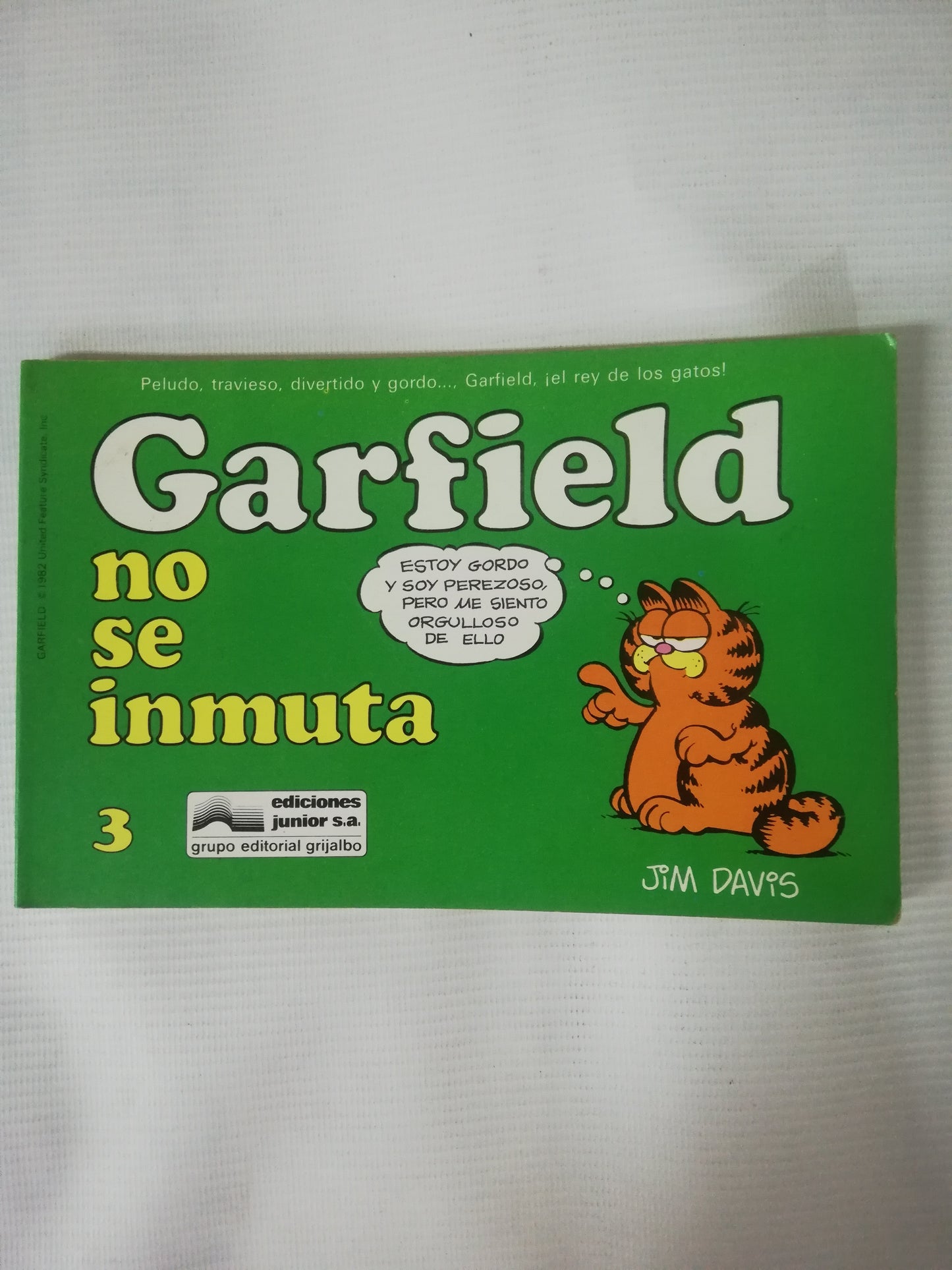 GARFIELD - NO SE INMUTA 3
