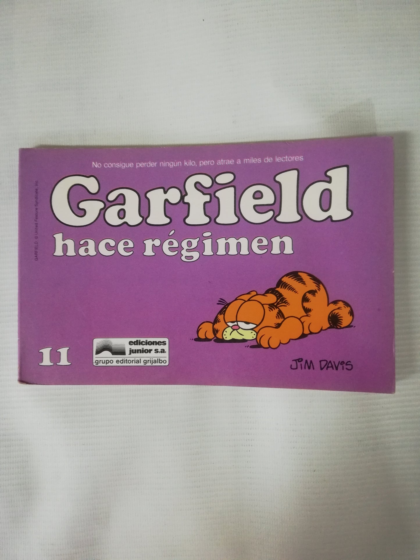 GARFIELD - GARFIELD HACE REGIMEN 11