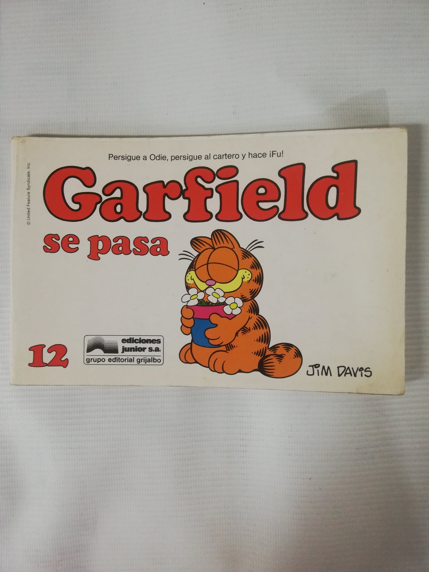 GARFIELD - GRAFIELD SE PASA 12