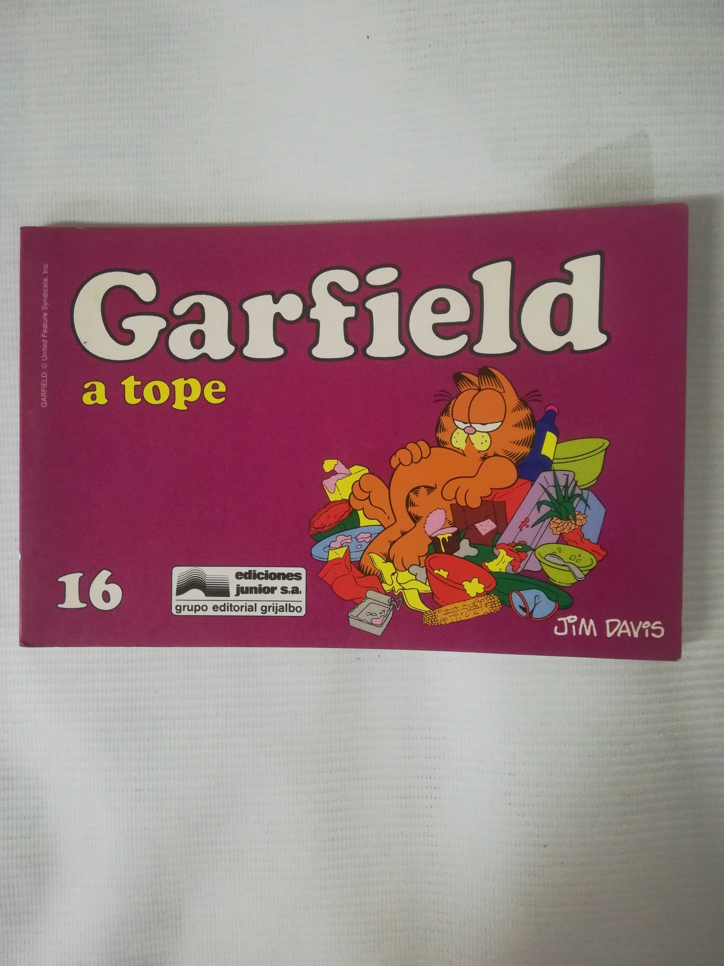 GARFIELD - GARFIELD A TOPE 16