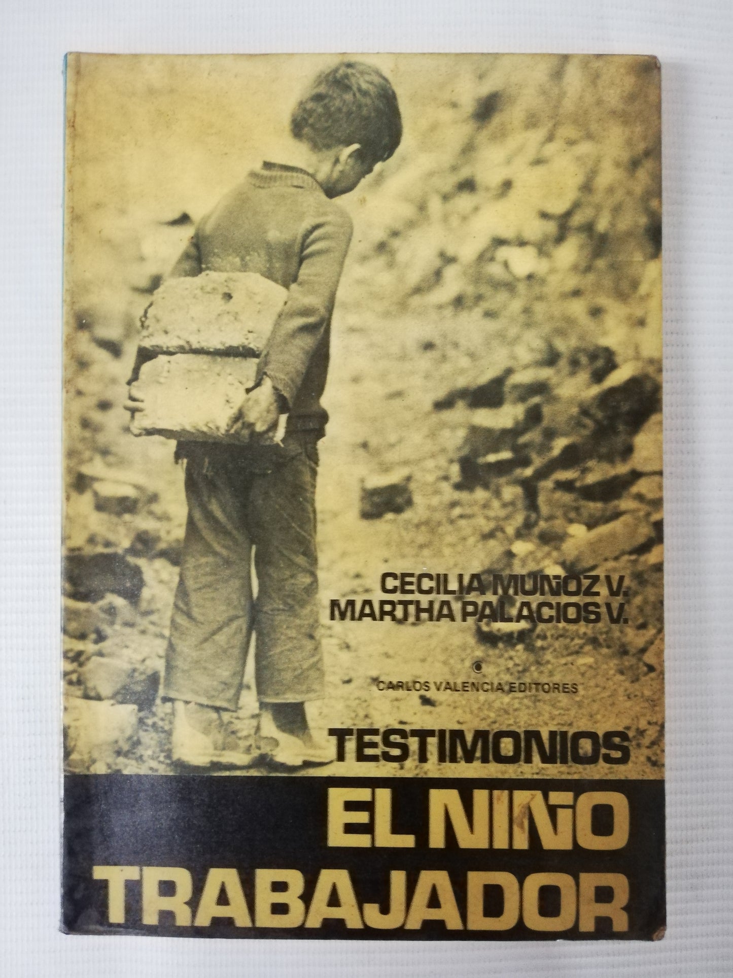 TESTIMONIOS EL NIÑO TRABAJADOR - CECILIA MUÑOZ V. MARTHA PALACIOS V.