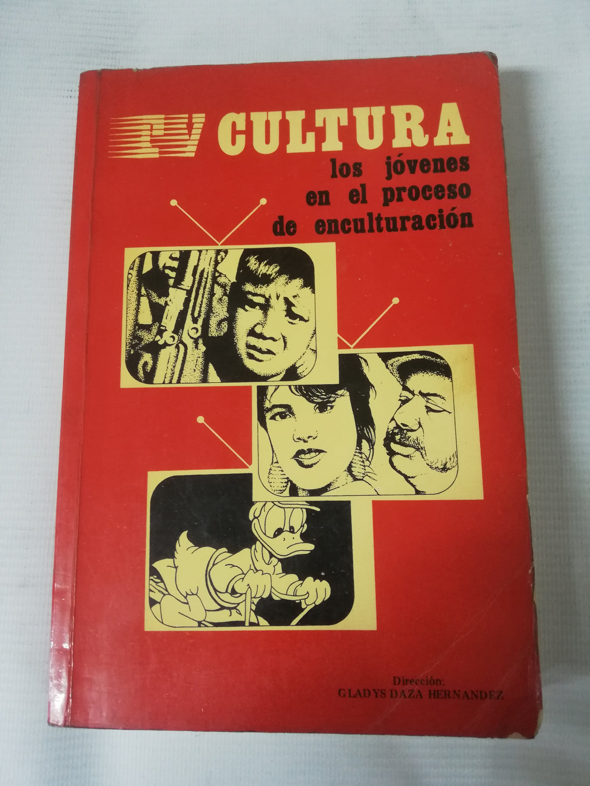 LOS JOVENES EN EL PROCESO DE ENCULTURACION - GLADYS DAZA HERNANDEZ