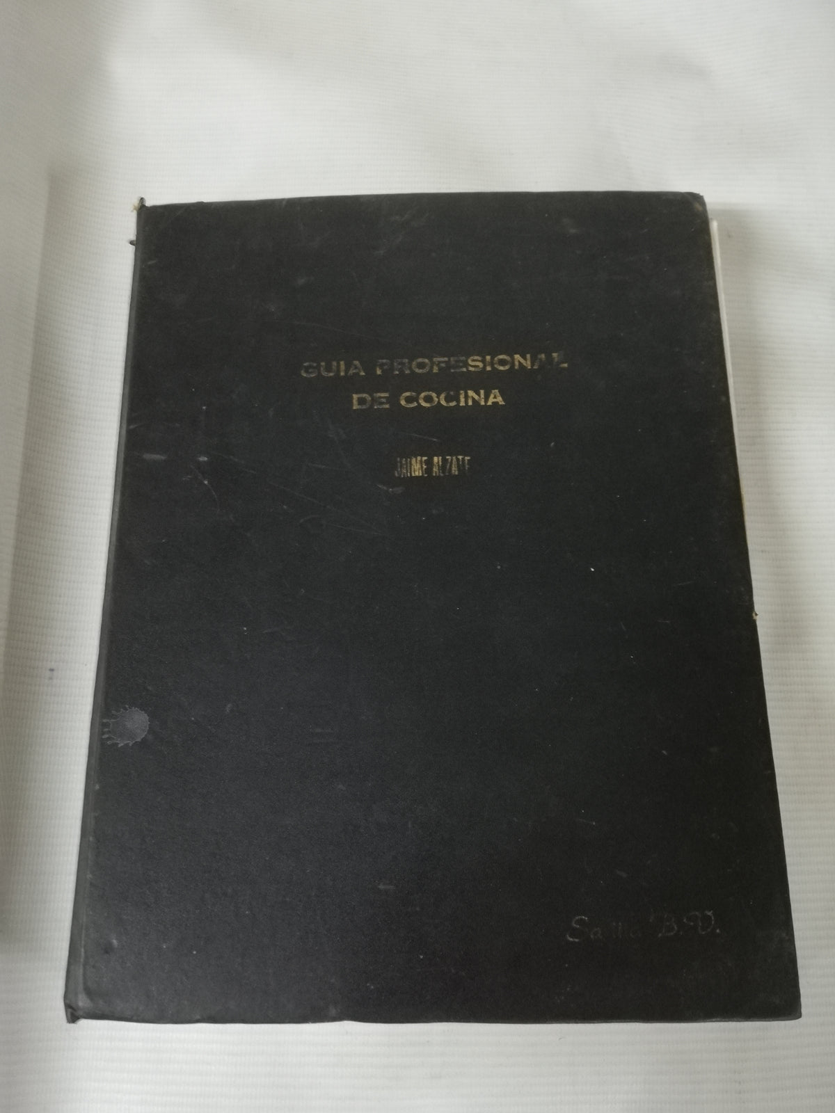 GUIA PROFESIONAL DE COCINA - JAIME ALZATE