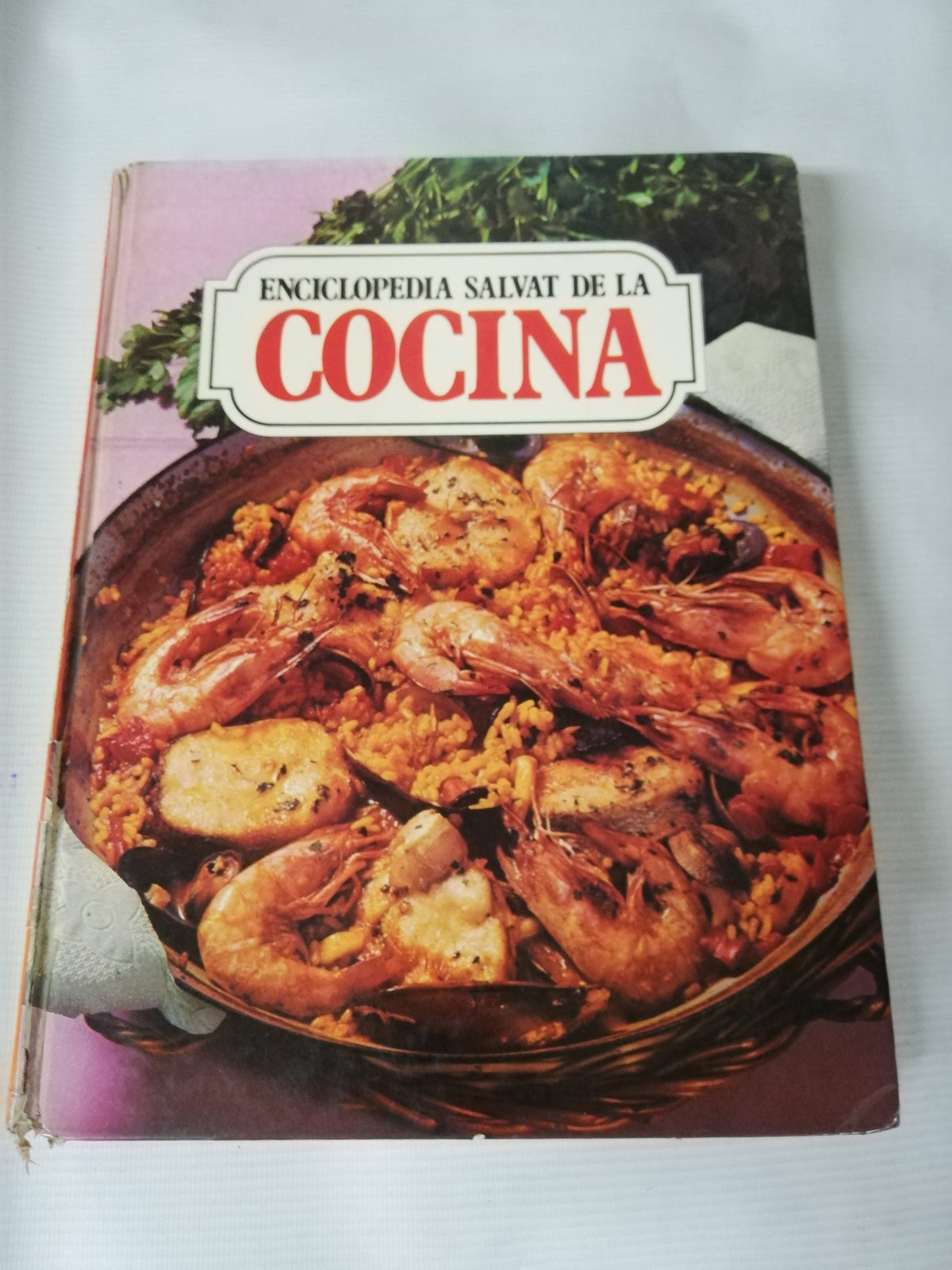 ENCICLOPEDIA SALVAT DE LA COCINA - TOMO 12