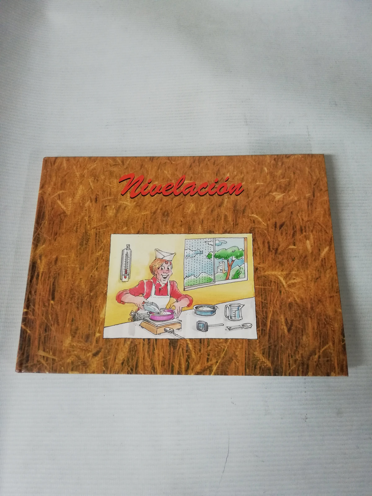 NIVELACION - FUNDACION CACOSTOSRVAJAL