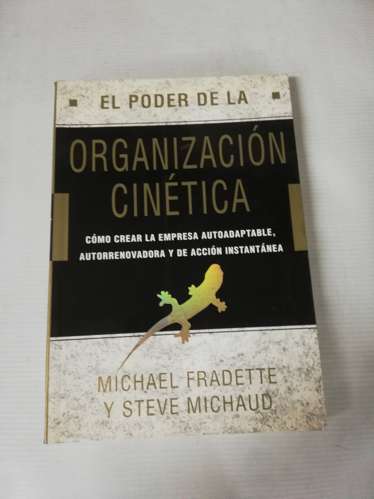 EL PODER DE LA ORGANIZACION CINETICA - MICHAEL FRADETTE Y STEVE MICHAUD