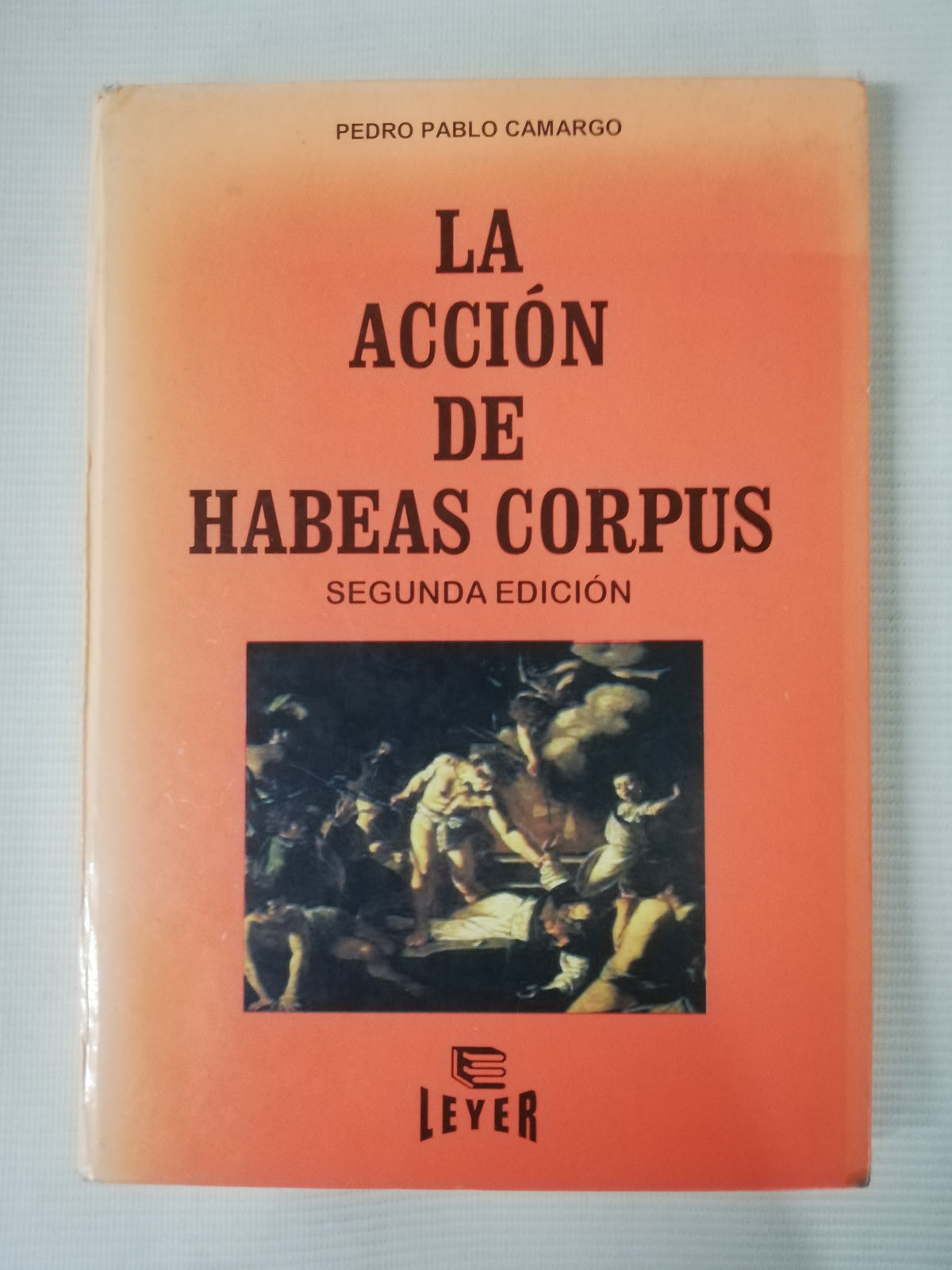 LA ACCIÓN DE HABEAS CORPUS - PEDRO PABLO CAMARGO