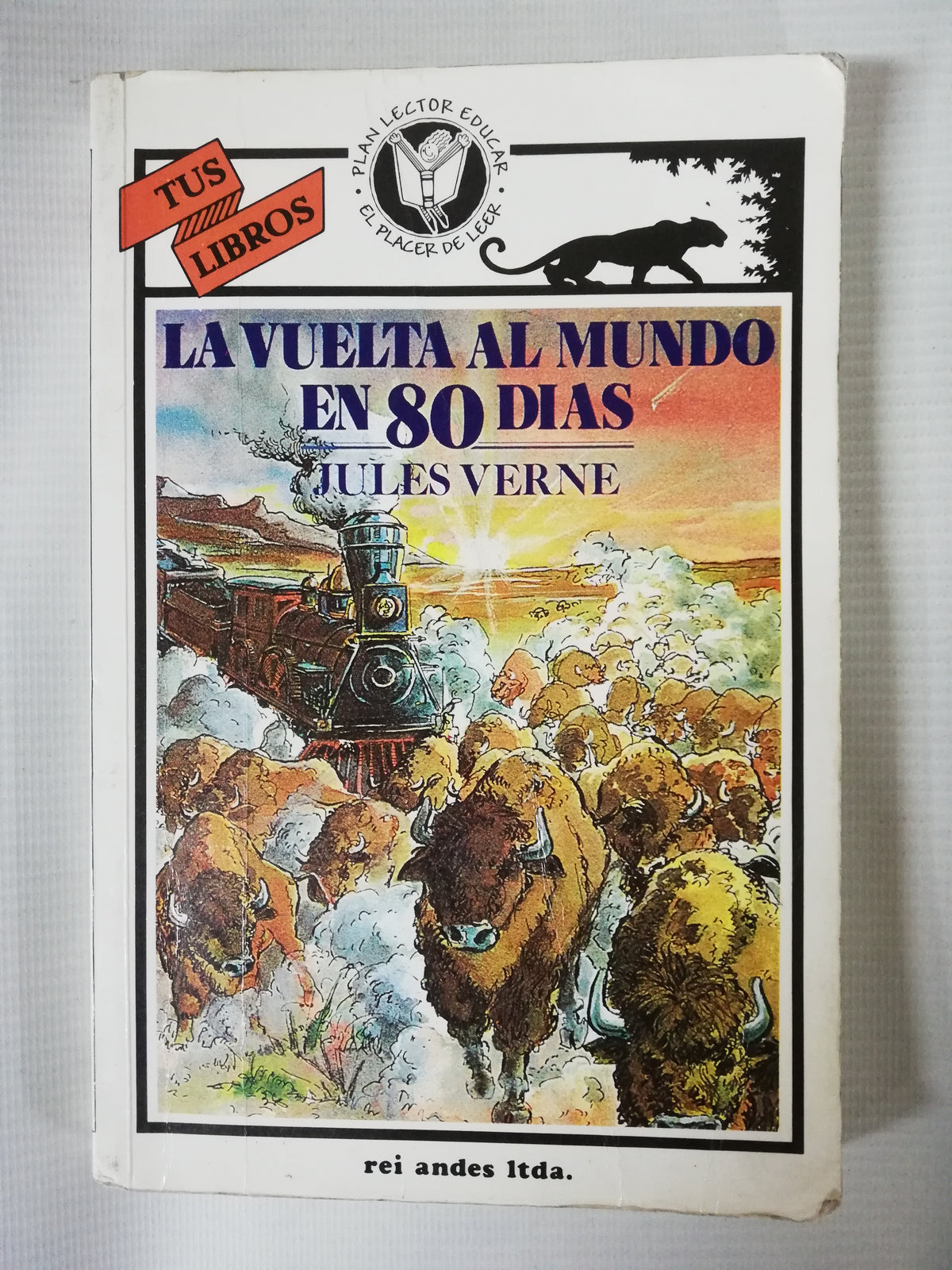 LA VUELTA AL MUNDO EN 80 DÍAS - JULES VERNE