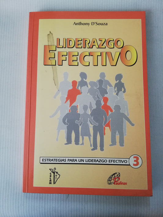 LIDERAZGO EFECTIVO - ANTHONY D SOUZA