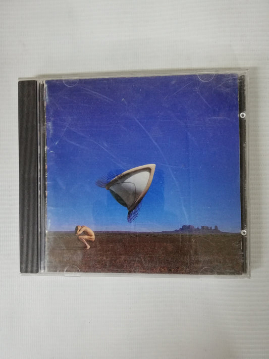 CD THE CRAMBERRIES - BURY THE HATCHET
