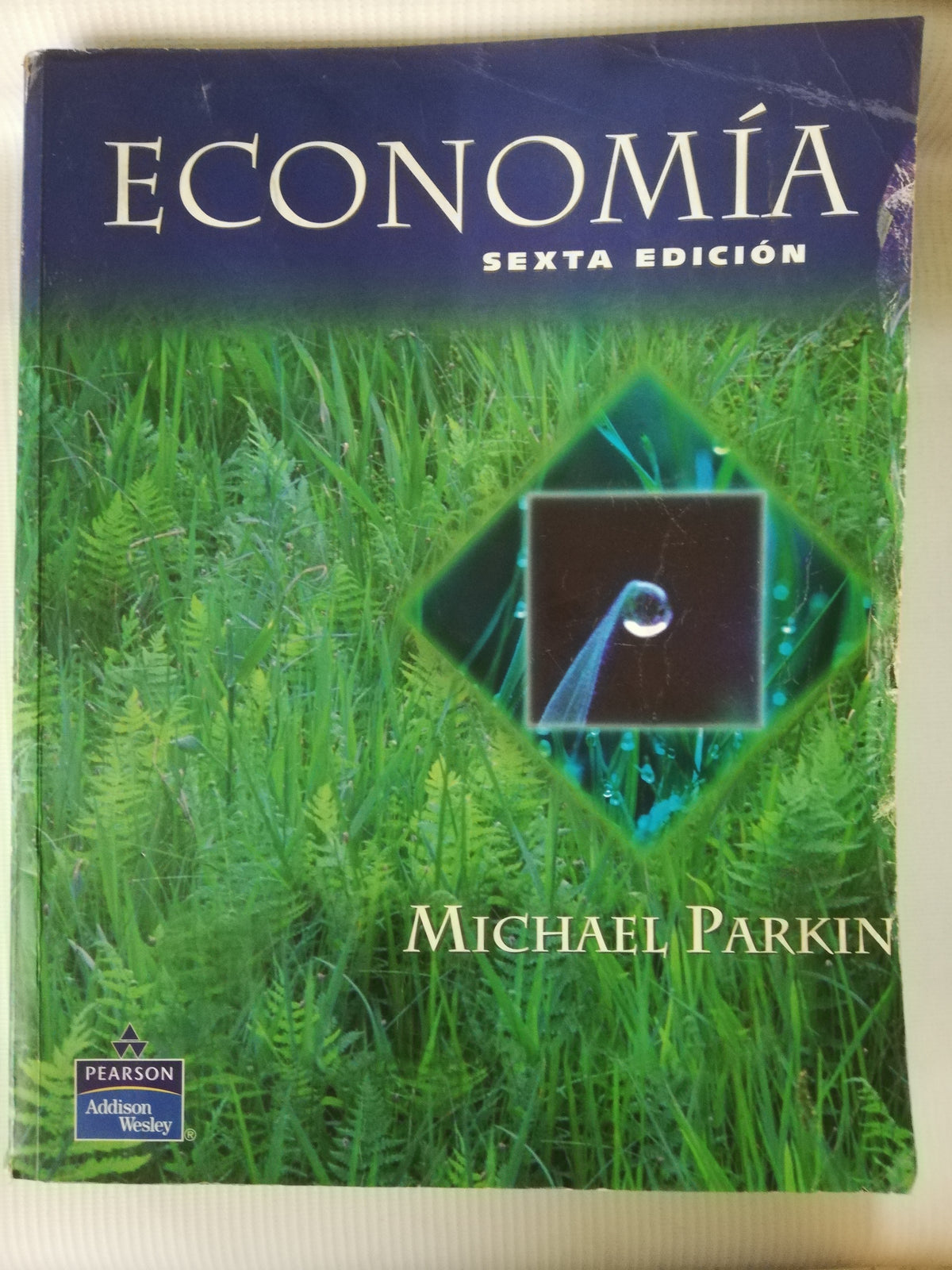 ECONOMIA - MICHAEL PARKIN