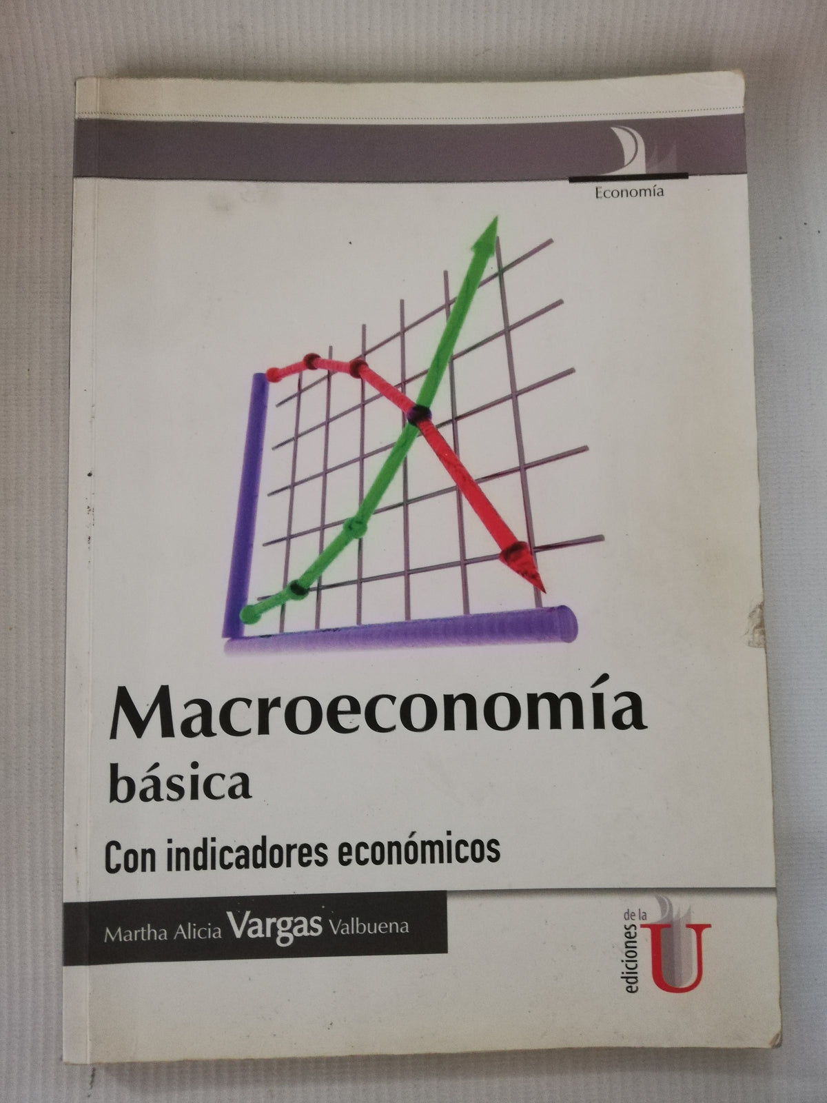 MACROECONOMIA BASICA - MARTHA ALICIA VARGAS VALBUENA