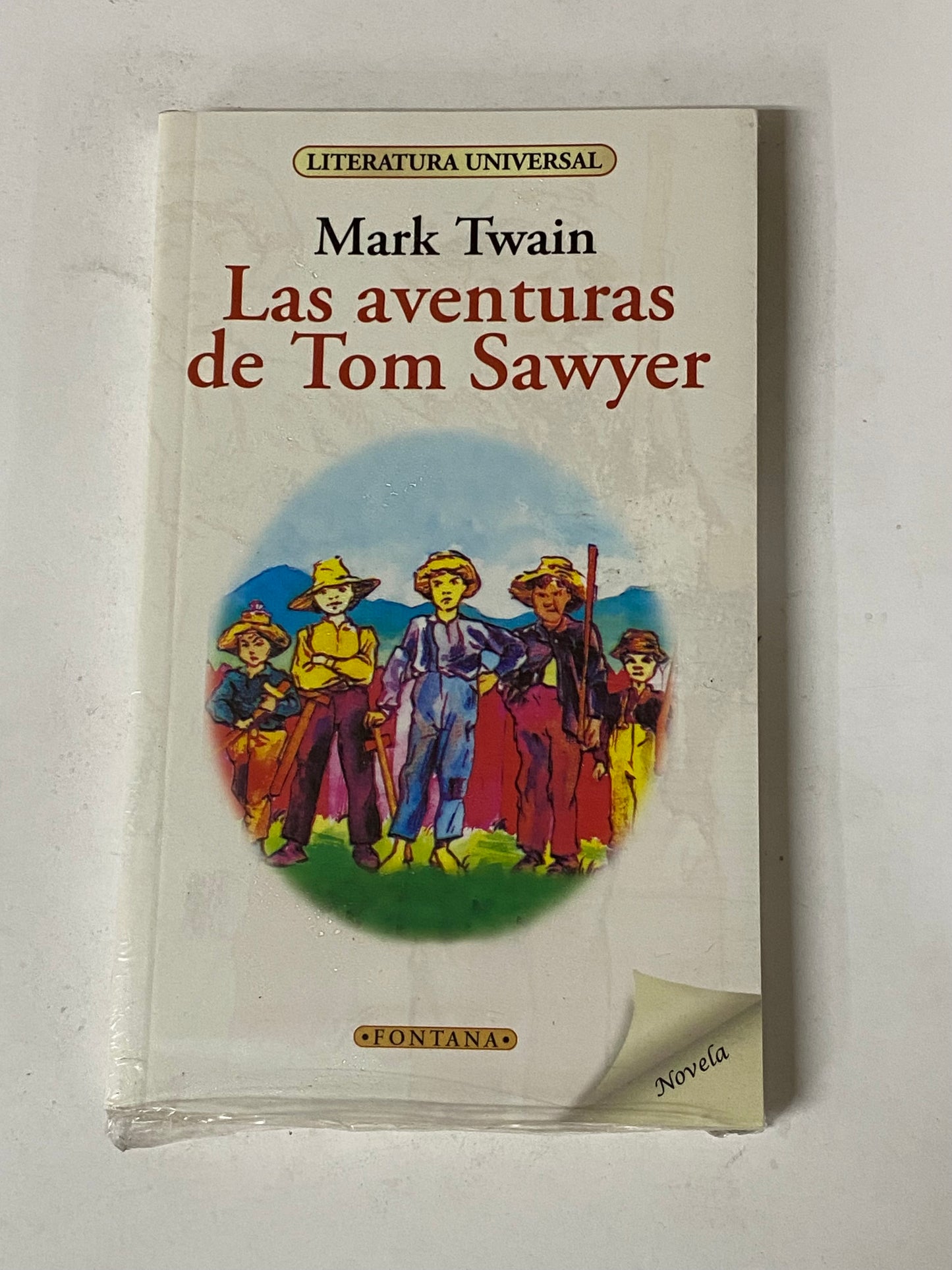 LAS AVENTURAS DE TOM SAWYER - MARK TWAIN