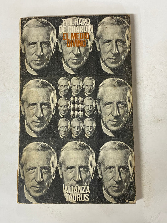 EL MEDIO DIVINO - TEILHARD DE CHARDIN