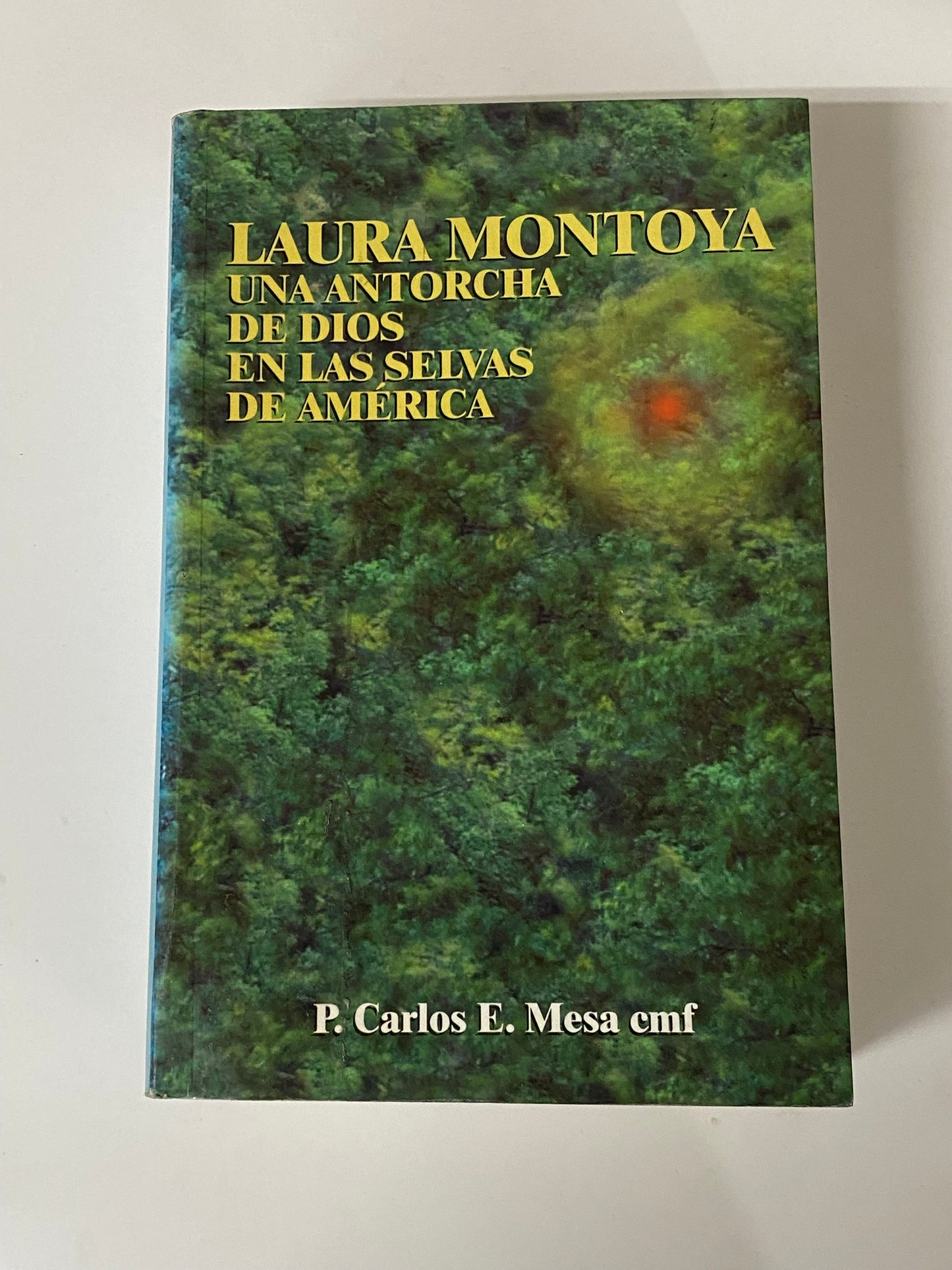 LAURA MONTOYA UNA ANTORCHA DE DIOS EN LAS SELVAS DE AMERICA- P. CARLOS E. MESA