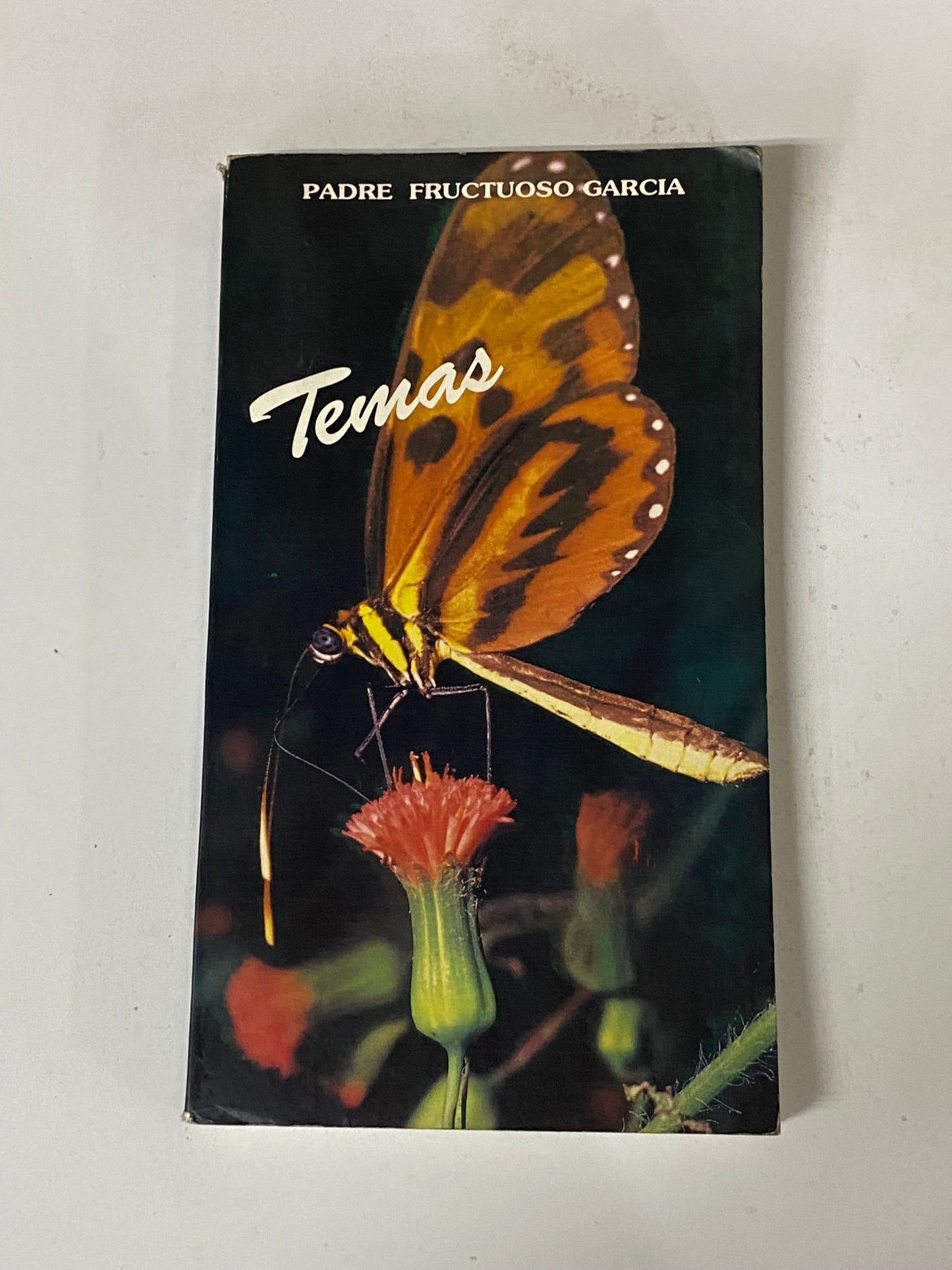 TEMAS- PADRE FRUCTUOSO GARCIA