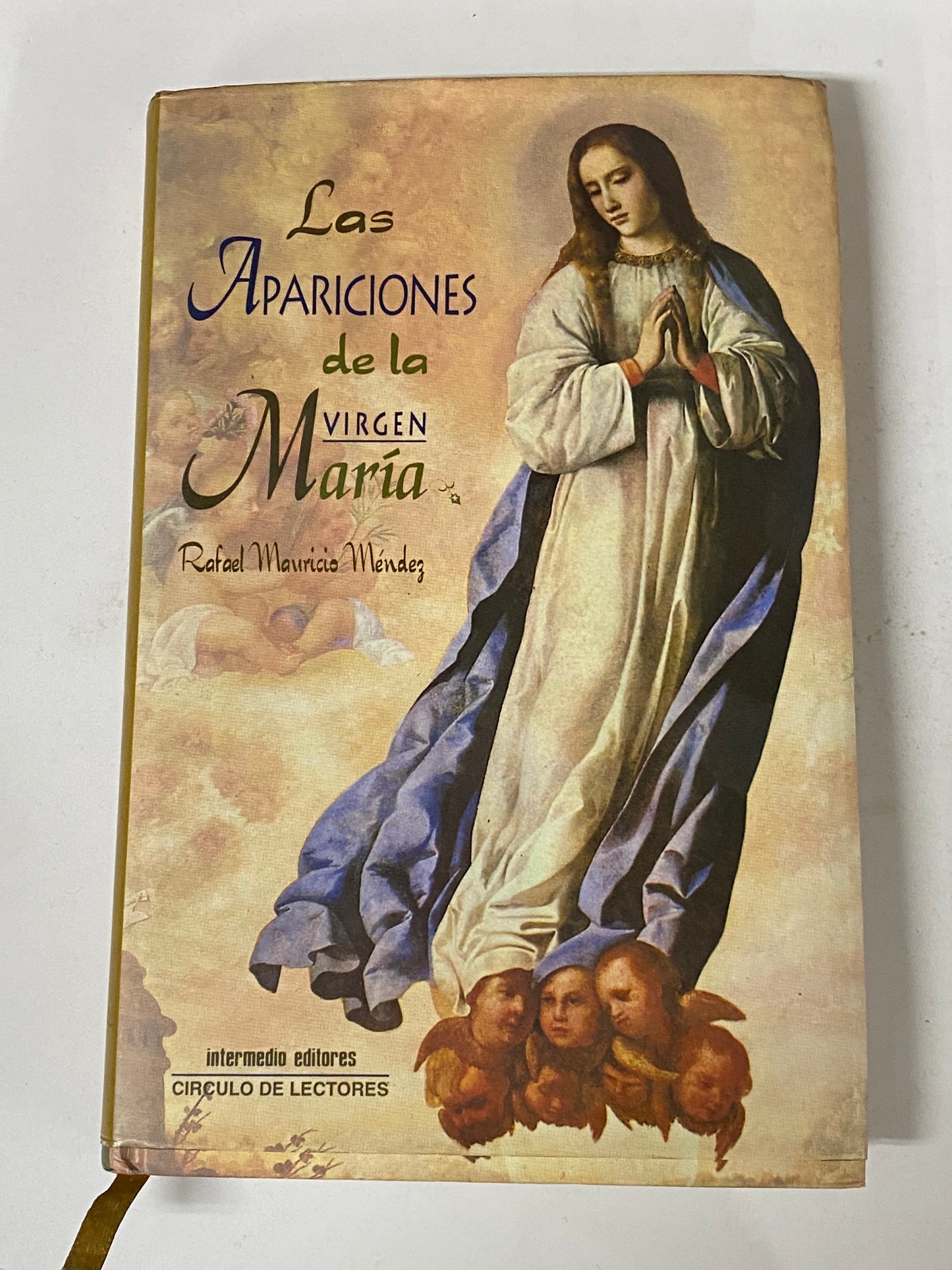 LAS APARICIONES DE LA VIRGEN MARIA- RAFEAL MAURICIO MENDEZ